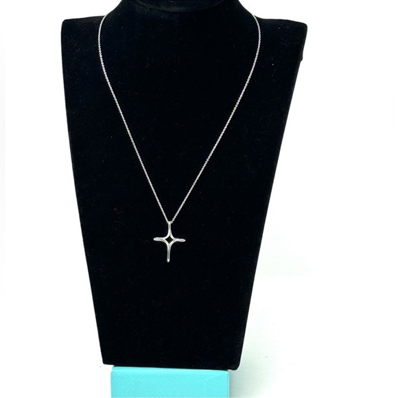 Authentic Tiffany & Co. Elsa Peretti Silver Infinity Necklace - Picture 4 of 15